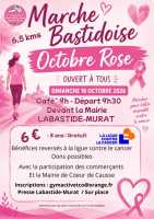 Octobre Rose, marche solidaire - 2° édition