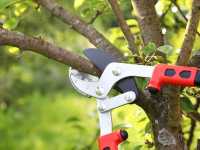 Chantier nature & citoyen