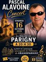 Concert de Pascal Alavoine