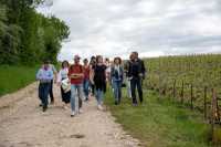 Vignobles en Scène - Balade Vigneronne avec le Champagne Binon-Coquard