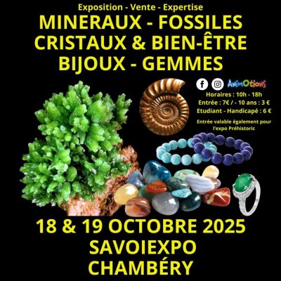 6?me Salon Min?raux Fossiles Cristaux & Bien-?tre Bijoux et Gemmes + Exposition sur la Pr?histoire à Chambéry