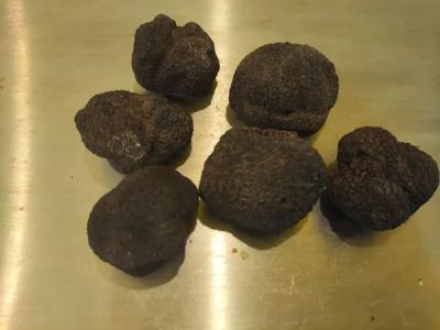 Marché de Noël et Fête de la Truffe à Comprégnac