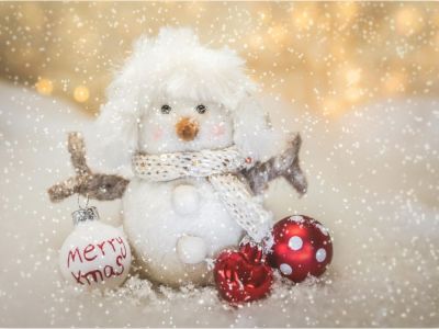 Lectures d'histoires au marché de Noël à Hambye