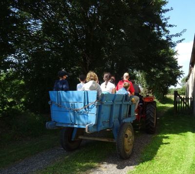 Balade en tracteur vintage - Ferme-musée du Cotentin à Sainte-Mère-Église