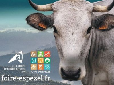 Foire départementale de l'élevage à Espezel