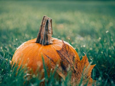 Fête de l'automne à Pied-de-Borne
