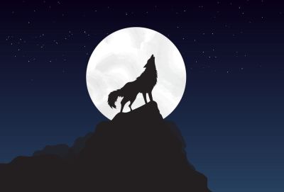 Loup-Garou à Ervy-le-Châtel