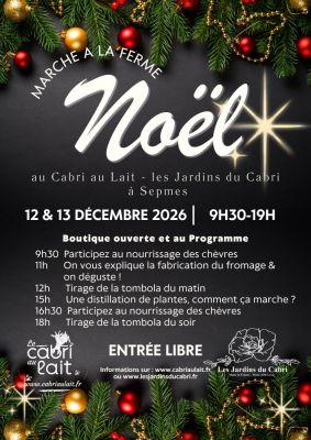 Marché de Noël à la ferme à Sepmes