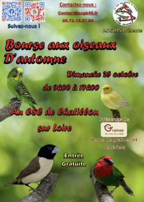 Bourse aux oiseaux à Châtillon-sur-Loire
