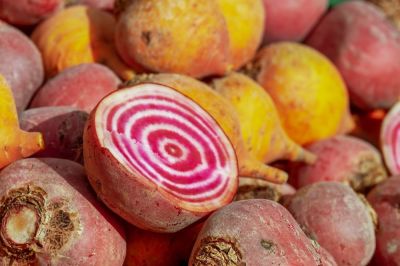 Marché de producteurs locaux, chaque 1er dimanche du mois à La Fermeté