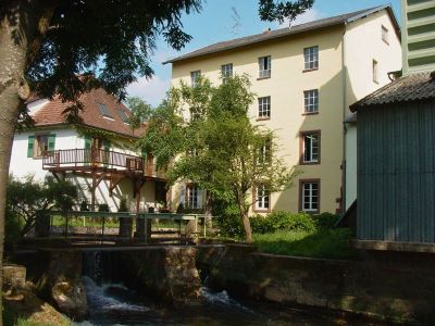 Visite au coeur du Moulin Burggraf-Becker à Dossenheim-sur-Zinsel
