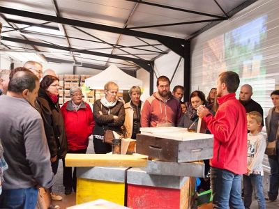 Ruchers des Vosges du Nord, à la découverte de la fabrication du miel ! à Struth