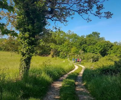 Randonnée Pédestre Trotte Cailloux à Flaugnac