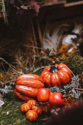 Rencontres d'automne à Lantis à Dégagnac